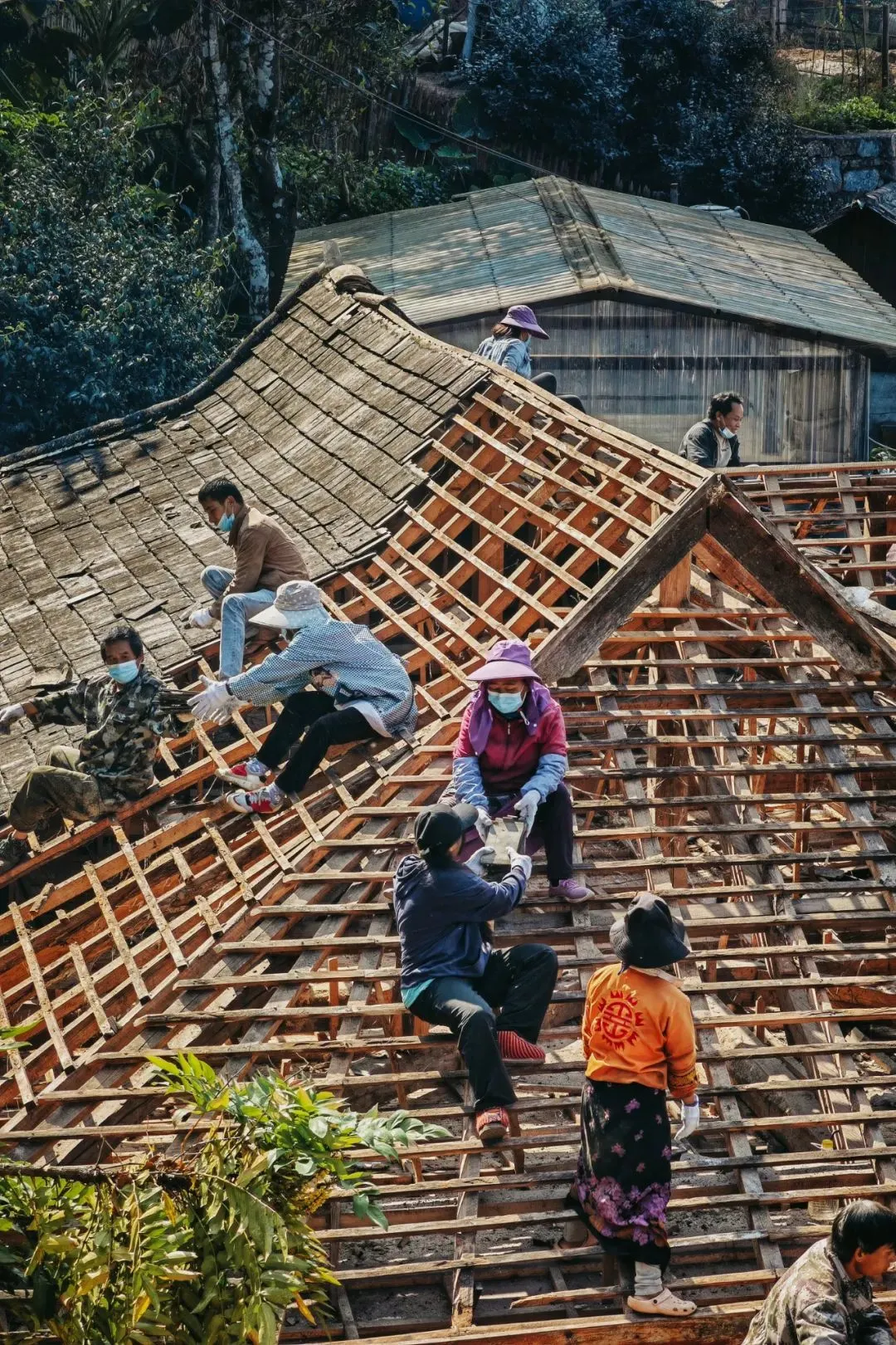 景迈山人正在按照传统技术搭建房屋 摄影/社长的旅行日常