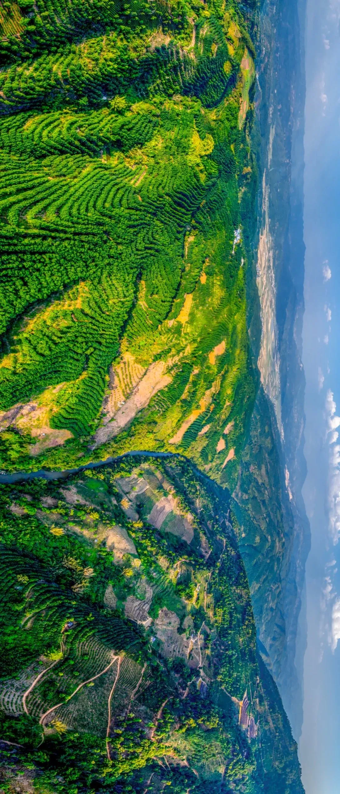 景迈山拥有世界上保存最好、年代最久远、面积最大的人工栽培古茶园 图/视觉中国